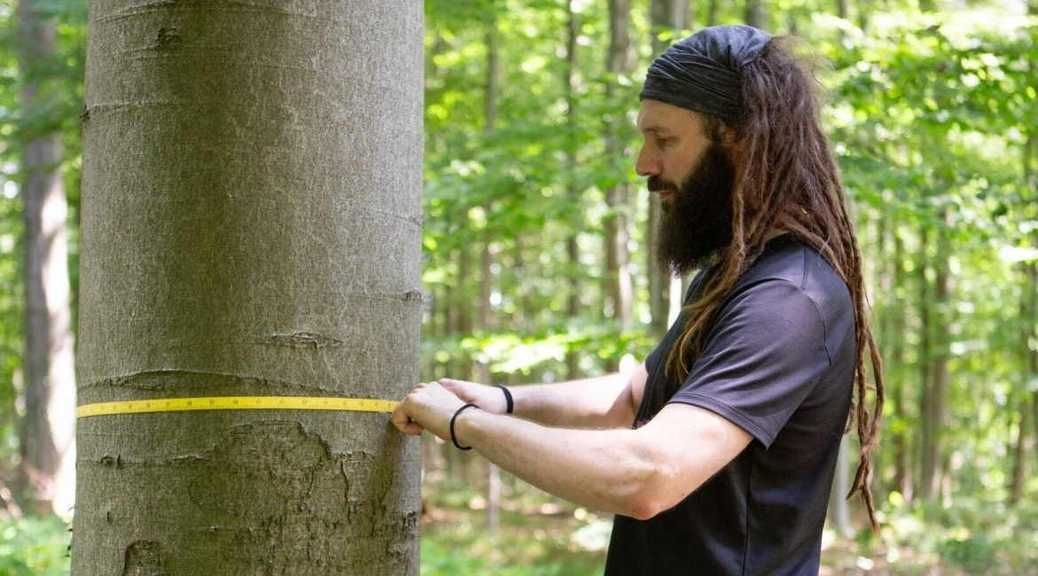 Nabava sadnog materijala