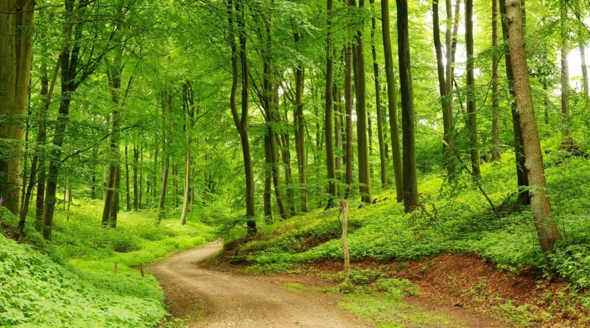 Hortikulturno uređenje