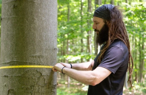 Nabava sadnog materijala