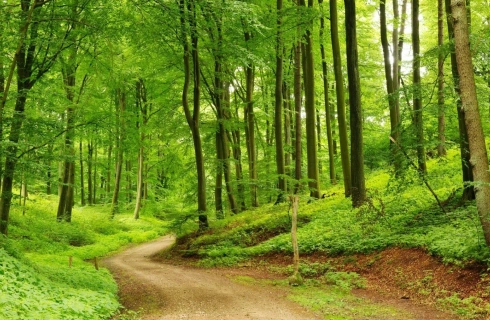 Hortikulturno uređenje