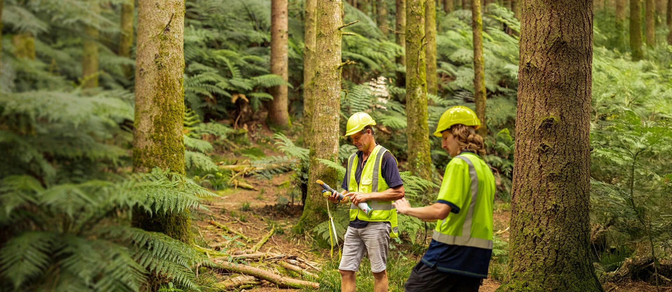 Okoliš po mjeri čovjeka