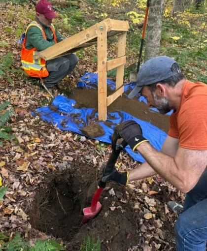 Konverzija degradiranih šuma