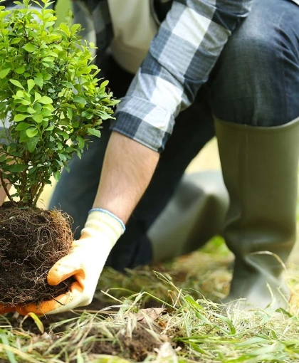 Savjetovanje privatnih šumovlasnika