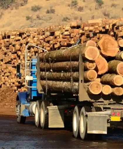 Konverzija degradiranih šuma