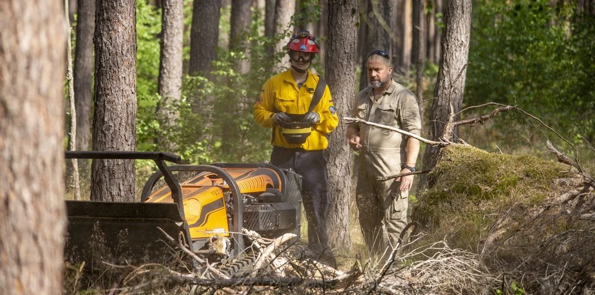 Uzgajanje i njega šuma