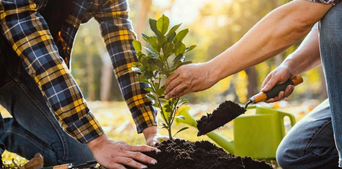 Sudsko vještačenje u području šumarstva