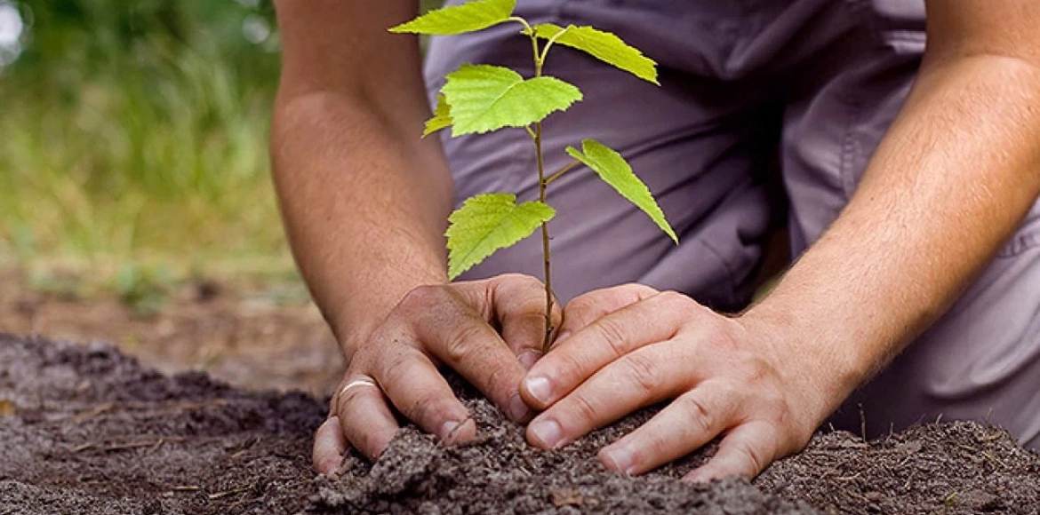 Uređenje i održavanje okućnica i zelenih površina
