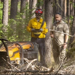 Uzgajanje i njega šuma